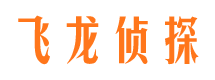 安次调查公司